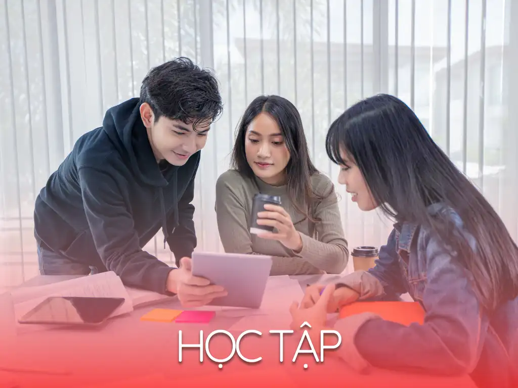 Học Tập