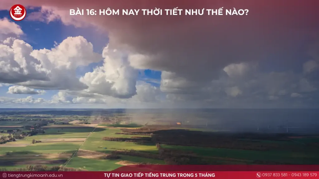 Lưu nháp tự động