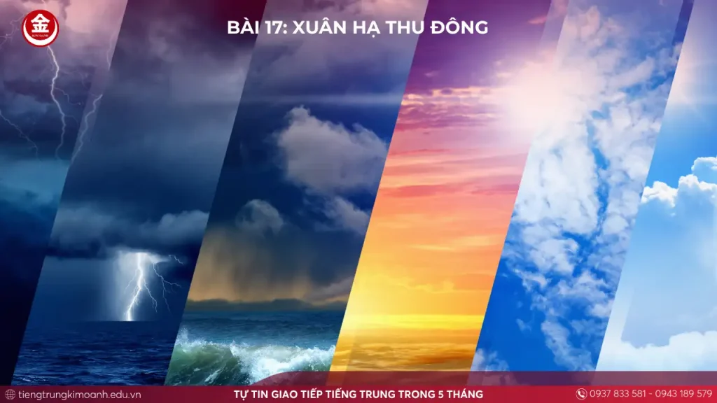Lưu nháp tự động